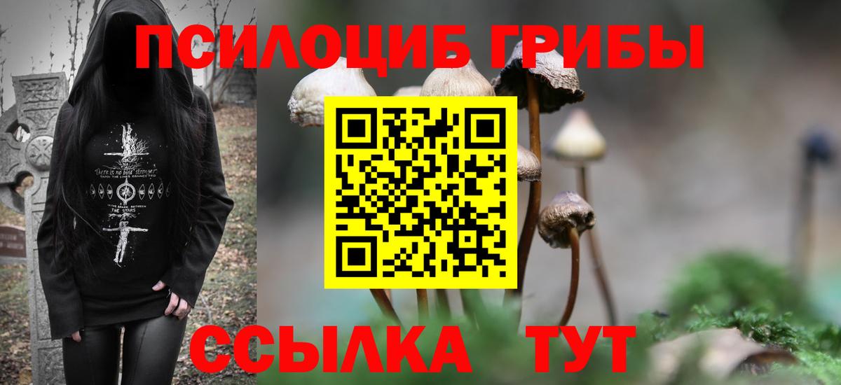Галлюциногенные грибы Psilocybine cubensis  Псилоцибиновые грибы мухоморы  Батайск  купить   Вход с VPN 
